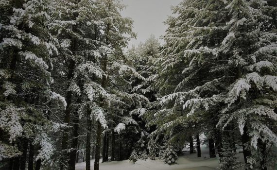 Parcul National Rila Bulgaria