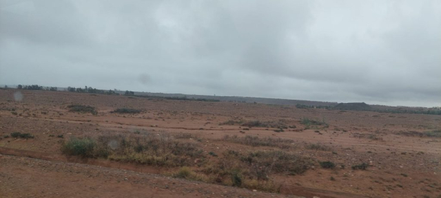 WhatsApp Image 2023-02-16 at 12.01.49 (3)