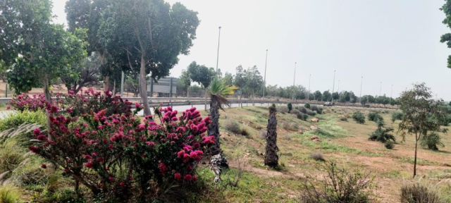 cristi-minculescu-maroc-februarie-jurnal (5)