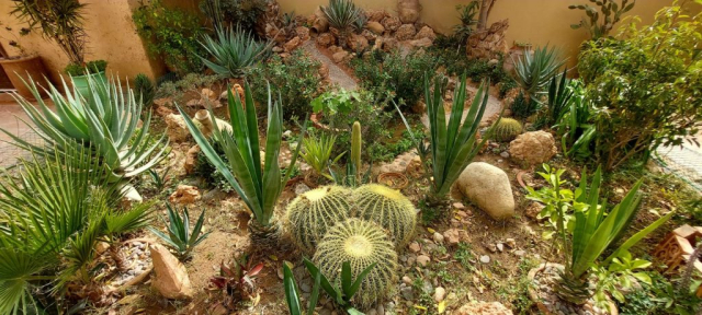 cristi-minculescu-maroc-februarie-jurnal (7)