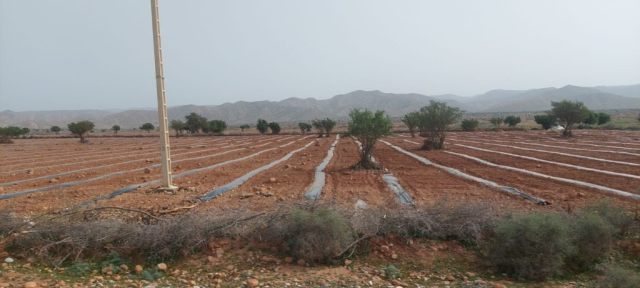 cristi-minculescu-spre-varf-maroc (2)