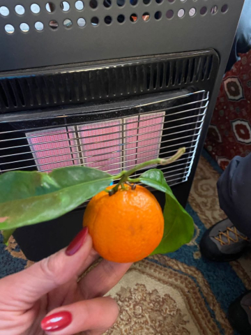 jurnal-calatorie-maroc-cristi-minculescu (14)