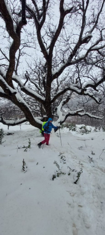 jurnal-calatorie-maroc-cristi-minculescu (6)