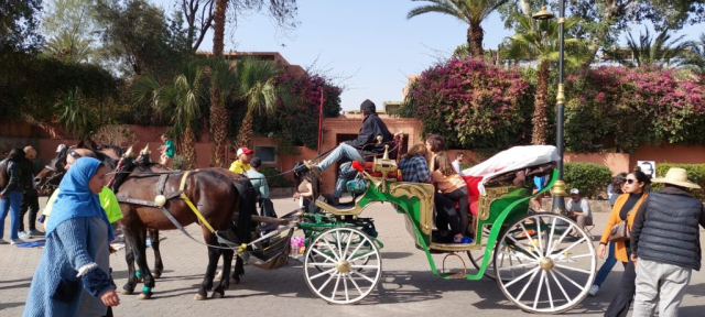 jurnal-calatorie-maroc-ziua8-cristi-minculescu (1)