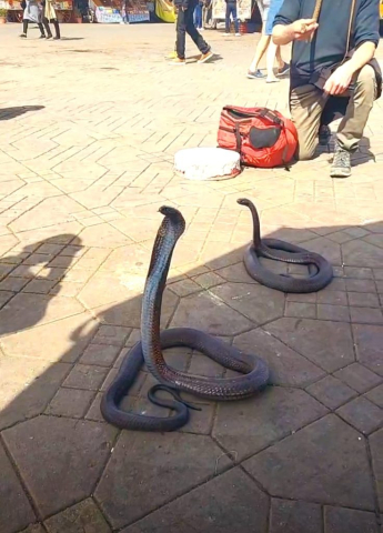 jurnal-calatorie-maroc-ziua8-cristi-minculescu (6)