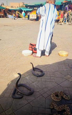 jurnal-calatorie-maroc-ziua8-cristi-minculescu (8)