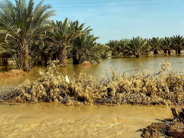 jurnal-maroc-ziua6-cristi-minculescu (2)