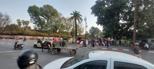 maroc-ziua-7-cristi-minculescu (15)