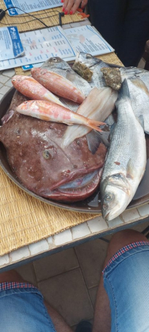 maroc-ziua-7-cristi-minculescu (17)