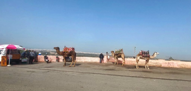 maroc-ziua-7-cristi-minculescu (19)