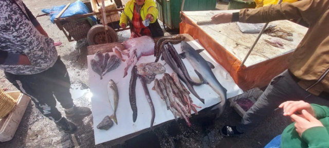 maroc-ziua-7-cristi-minculescu (3)