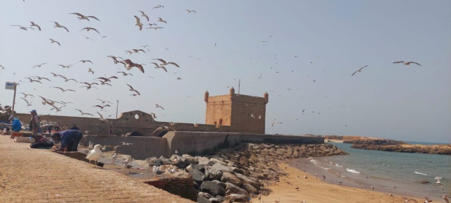 maroc-ziua-7-cristi-minculescu (6)