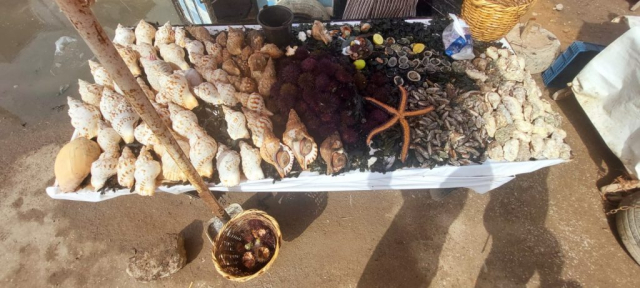 maroc-ziua-7-cristi-minculescu (7)