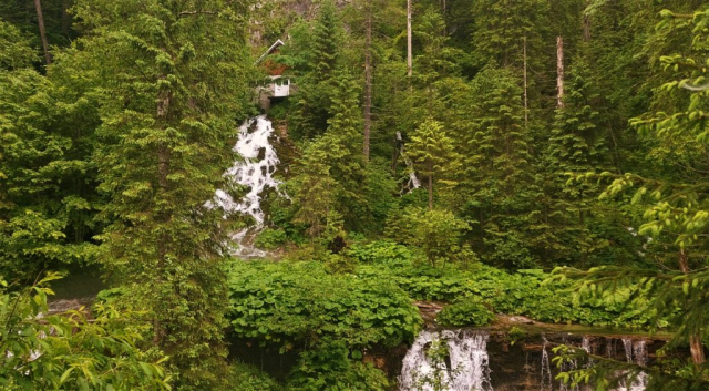 jurnal-bucegi-ziua4 (10)