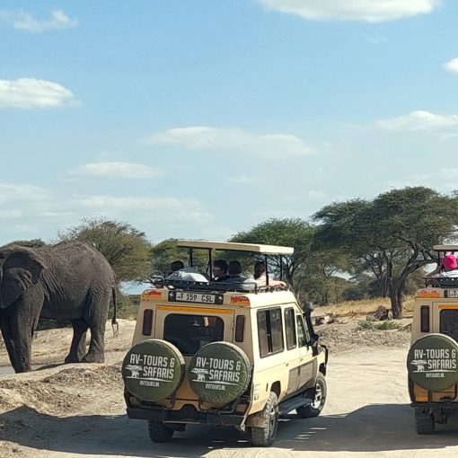 kilimanjaro cristi minculescu jurnal de calatorie