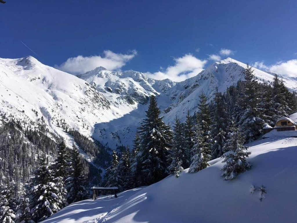 negoiu-fagaras-serbota