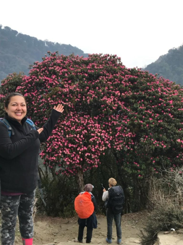 front-anapurna-cristi-minculescu16