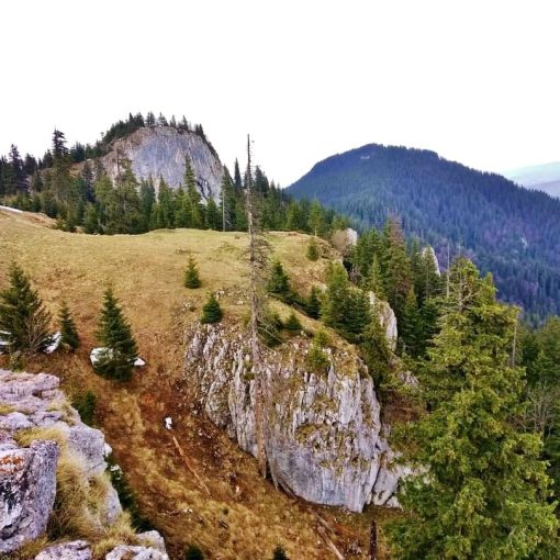 piatra mare