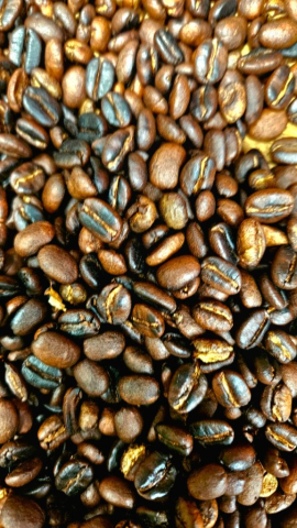 kilimanjaro-cristi-minculescu5