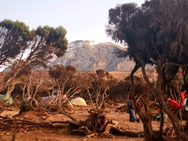 kilimanjaro-cristi-minculescu9