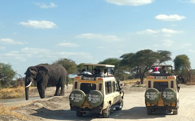 safari-cristi-minculesc7