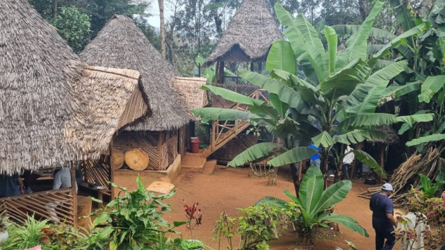 safari-cristi-minculesc9