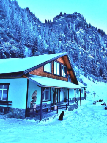 cristi-minculescu-malaiesti4