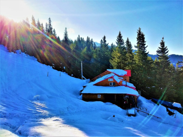 suru-fagaras-cristi-minculescu2