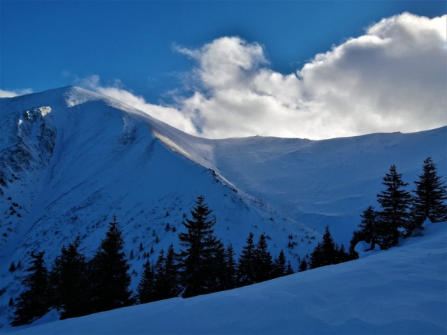 suru-fagaras-cristi-minculescu4