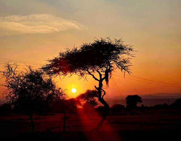 cristi-minculescu-kilimanjaro3