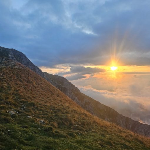 creasta sudica piatra craiului