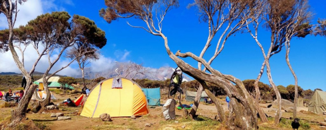 kilimanjaro-impreuna-cristi-minculescu10