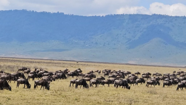 kilimanjaro-minculescu-5